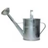 Gieter - Verzinkt Metaal - Afneembare Broeskop - 5 L 1 Gieter - Verzinkt Metaal - Afneembare Broeskop - 5 L -Tuinmeubel Winkel 1000014613