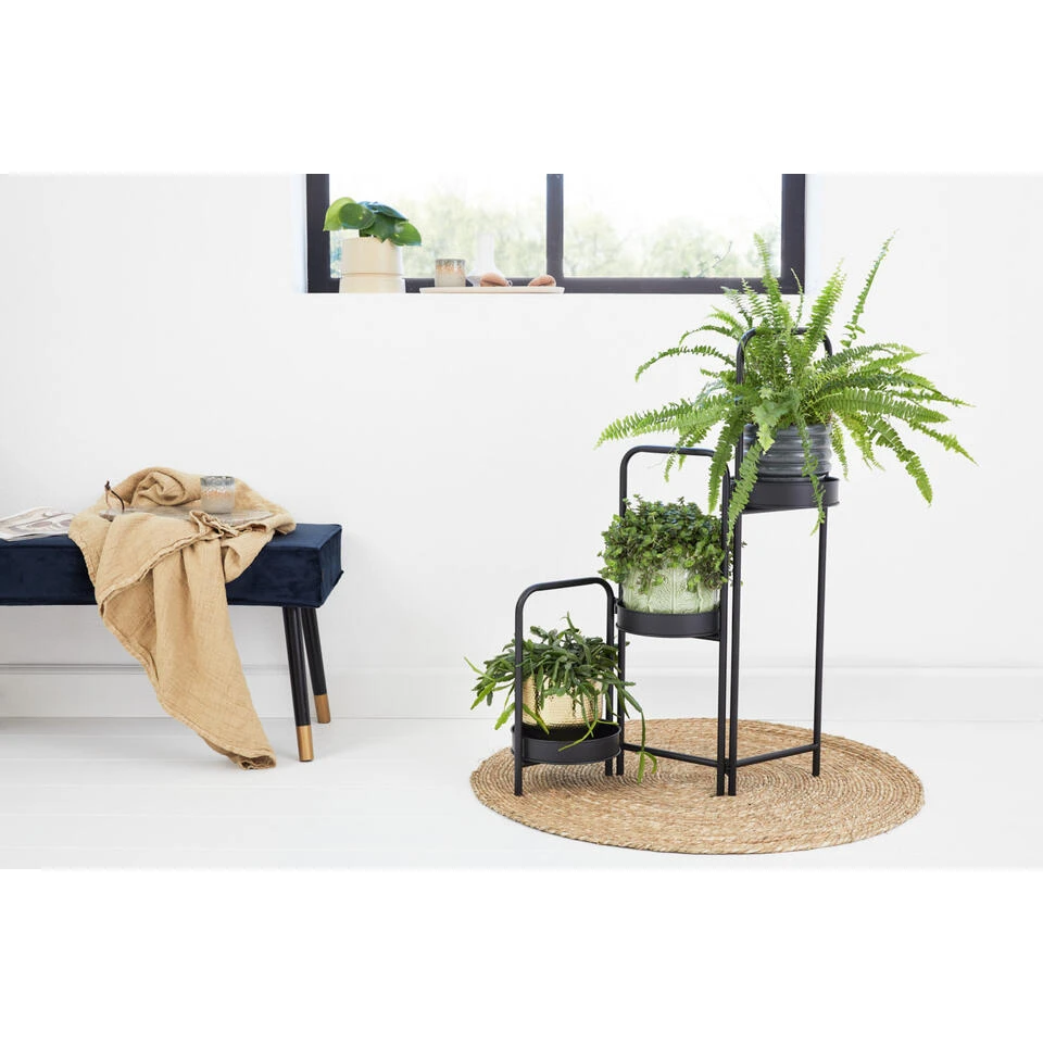 Lifa Living Plantenbak Rose, 3-delig 4 Lifa Living Plantenbak Rose, 3-delig - Afbeelding 2