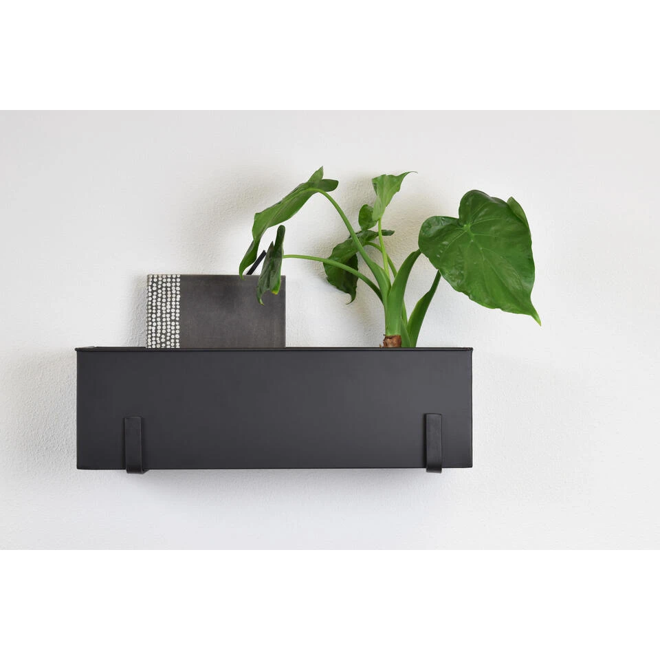 LOFT42 Flora Wand Plantenbak Large - Opbergbox - Metaal - Mat Zwart 4 LOFT42 Flora Wand Plantenbak Large - Opbergbox - Metaal - Mat Zwart - Afbeelding 2