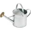 Ubbink Gieter - Zilver - Verzinkt Staal - Broeskop - 9 Liter -Tuinmeubel Winkel 1000079477