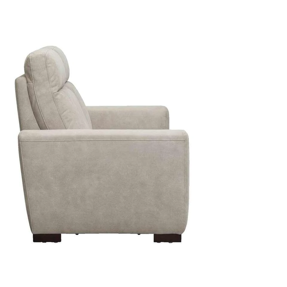 Bank James 2-zits - Lederlook - Zilvergrijs 6 Bank James 2-zits - Lederlook - Zilvergrijs - Afbeelding 4