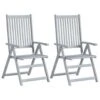 VidaXL Tuinstoelen 2 St Verstelbaar Massief Acaciahout Grijs 1 VidaXL Tuinstoelen 2 St Verstelbaar Massief Acaciahout Grijs -Tuinmeubel Winkel 1268775636