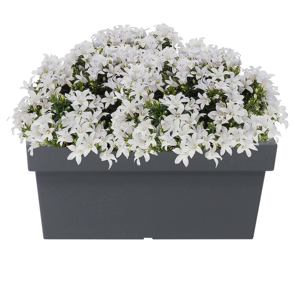 Prosperplast Plantenbak - Kunststof - 79 X 35 X 33 Cm - Steengrijs 4 Prosperplast Plantenbak - Kunststof - 79 X 35 X 33 Cm - Steengrijs - Afbeelding 2