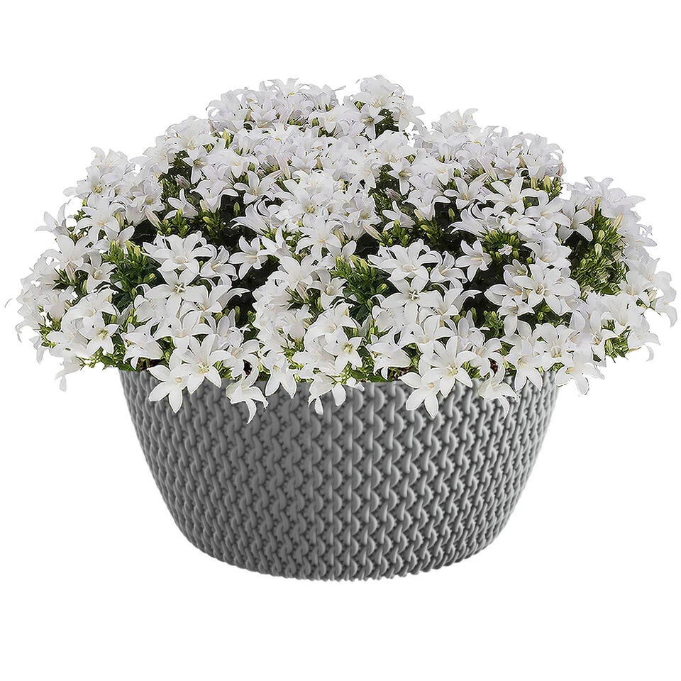 Prosperplast Plantenpot/bloempot - Kunststof - Steengrijs - D24 X H12 Cm 4 Prosperplast Plantenpot/bloempot - Kunststof - Steengrijs - D24 X H12 Cm - Afbeelding 2