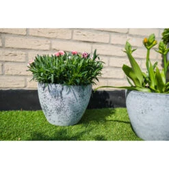 Ter Steege Plantenpot - Betongrijs - Kunststof-steenpoeder - 36x27 Cm -Tuinmeubel Winkel cc6b89b4aebb4ace992d474919db896a