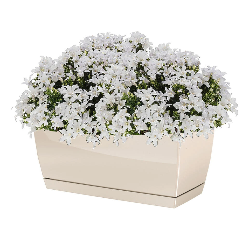 Prosperplast Bloempot - Kunststof - Creme-beige - 29 X 14 X 13,6 Cm 4 Prosperplast Bloempot - Kunststof - Creme-beige - 29 X 14 X 13,6 Cm - Afbeelding 2