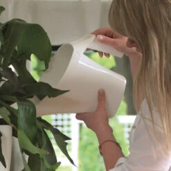 Prosperplast Gieter - Antraciet - Kunststof - 2 Liter -Tuinmeubel Winkel e86d42ed3a7e434ebaafc19d703fa812